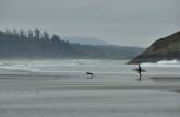 Surfista e seu cachorro enfrentam as águas geladas de praia em Tofino, na costa oeste de Vancouver Island, litoral da British Columbia, oeste do Canadá